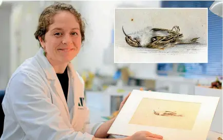  ?? PHOTO: SUPPLIED ?? Josefin Bergmark-jimenez with the 118-year-old painting by Dr Edward Wilson she found among artefacts from two huts at Cape Adare, Antarctica.