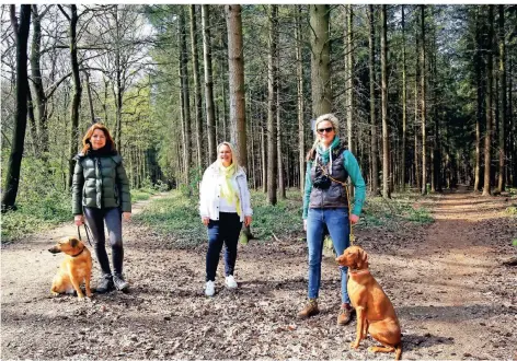  ?? RP-FOTO: ARMIN FISCHER ?? Sie wollen den Bönninghar­dter Wald retten (von links): Sabine Skroch mit Lucky, Nadine Neureiter und Kathrin Westermann mit Adda.