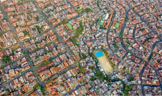  ??  ?? A pesar de que la ciudad necesita más árboles, no hay espacio suficiente para autorizar las siembras.