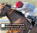  ??  ?? MED A DIFFERENCE: Medahim looks good for trainer Richard Hannon