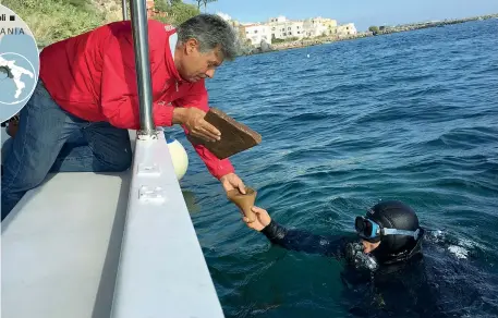  ??  ?? Padre e figlio Giulio Lauro, 58 anni, prende un reperto che gli porge il figlio Gaetano, 34 anni, appena riemerso da una spedizione «archeologi­ca» nell’antico porto di Aenaria