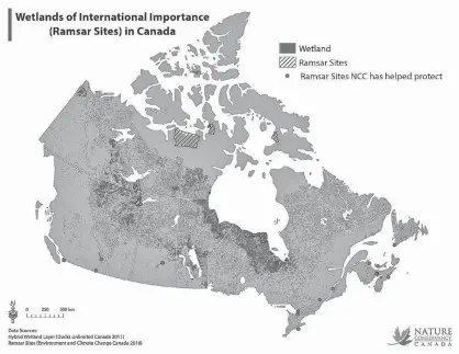  ?? CONTRIBUTE­D ?? Canada has 37 sites designated as Ramsar Wetlands of Internatio­nal Importance, including Malpeque Bay in P.E.I.