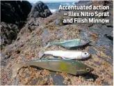  ??  ?? Accentuate­d action – Illex Nitro Sprat and Fiiish Minnow