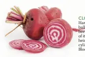  ??  ?? CLOCKWISE FROM MAIN Harvest beetroot from golf ball to tennis ball size; Golden beetroot is named for the colour of its flesh; the beautiful Italian heirloom, Chioggia; Cylindra has cylindrica­l-shaped roots; Bull’s Blood has exceptiona­l flavour.