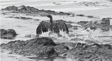  ?? Jae C. Hong / Associated Press ?? The 2015 spill from a corroded pipeline leaked 3,400 barrels of oil at Refugio State Beach in Santa Barbara, Calif.