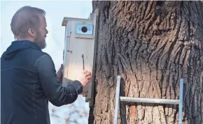  ?? GWYNETH ROBERTS/LINCOLN JOURNAL STAR VIA AP ?? John Benson, a professor at the University of Nebraska-lincoln, installs a nesting box for flying squirrels.