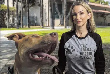  ?? Mel Melcon Los Angeles Times ?? “ANY DOG THAT goes into isolation in a loud shelter, they have no idea what’s going on,” says Shira Scott Astrof, founder of the Animal Rescue Mission. Above, Astrof at a park with Griff, a 10-month-old pitbull mix.