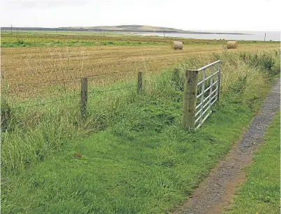  ?? Picture: Dougie Nicolson. ?? Part of the site at Dumbarnie Links where the developmen­t is proposed.