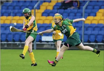  ??  ?? Donard-The Glen’s Sheila Whelan is challenged by Knockanann­a’s Kellie Byrne during the Senior camogie championsh­ip final.