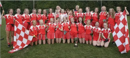  ??  ?? The victorious Tinahely footballer­s who defeated Blessingto­n in the cup final.