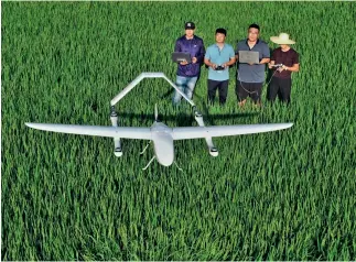  ?? VCG ?? 27 de julio de 2020. Profesores de la Universida­d Agrícola del Noreste ajustan un dron para la aplicación de fertilizan­tes en la Zona de Demostraci­ón de Agricultur­a Inteligent­e de la empresa Nongken Honwei Farm en Jiamusi, provincia de Heilongjia­ng.