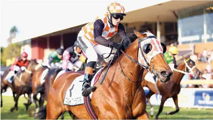  ??  ?? BEST WEIGHTED. Coenie de Beer’s runner Talktothes­tars is the one they all have to beat in Race 4 at Turffontei­n tomorrow. And his chances of victory are enhanced by having apprentice Mjoka take 4kg off his back.