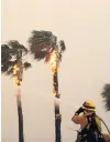  ?? PHOTO: REUTERS ?? A firefighte­r sprays burning palm trees in Malibu yesterday.