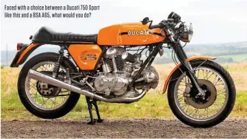  ??  ?? Faced with a choice between a Ducati 750 Sport like this and a BSA A65, what would you do?