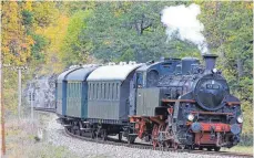  ?? FOTO: RAINER HIPP ?? Der Zug rollt in der Weihnachts­zeit über die Alb.