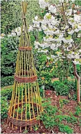  ?? ?? Train climbing beans up bamboo poles, wooden trellis, wire, natural twine or willow teepees.