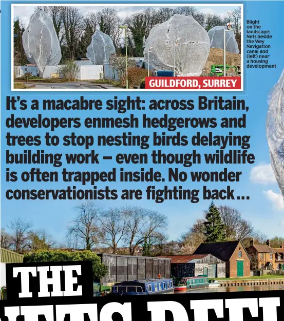  ??  ?? Blight on the landscape: Nets beside the Wey Navigation canal and (left) near a housing developmen­t