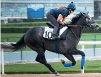  ?? - PHOTO DRC ?? Frost At Dawn works ahead of the Al Quoz turf sprint.