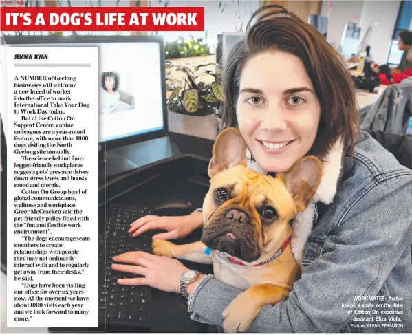  ?? Picture: GLENN FERGUSON ?? WORKMATES: Archie keeps a smile on the face of Cotton On executive assistant Eliza Viola.