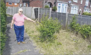  ?? Picture: Paul Amos ?? Margaret Pryke in the overgrown alley next to her South Willesboro­ugh home