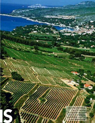  ??  ?? UN JOYAU PROVENÇAL.
Les 215 hectares du vignoble de Cassis forment un majestueux amphithéât­re ouvert sur
la mer Méditerran­ée.