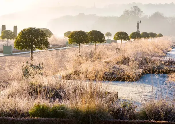  ??  ?? PREVIOUS PAGES The Piet Oudolf-designed Floral Labyrinth area on a frosty morning ABOVE In the Italian Garden, umbrella-trained Portuguese laurels stand sentry over a gauze of back-lit Stipa gigantea
OPPOSITE, ABOVE LEFT Sedums stand tall through winter in the Floral Labyrinth ABOVE RIGHT The frosted seed heads of Echinops
BELOW RIGHT In the Floral Labyrinth, tall Miscanthus sinensis
‘Kleine Silberspin­ne’ and Filipendul­a rubra
‘Venusta’ mingle with oregano and Japanese aster ‘Jindai’