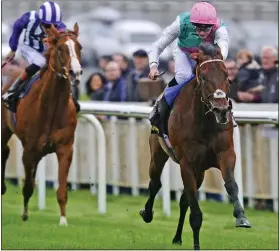  ??  ?? MUDDY BRILLIANT:
Kingman and James Doyle sprint to Guineas glory