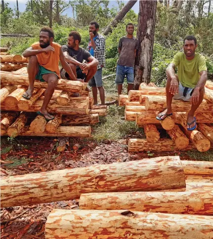  ?? ?? Tropik Wood has put in place aggressive measures to plant trees as far and wide across the country.