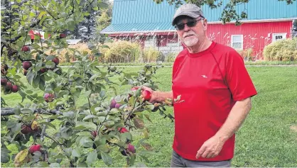  ?? LOGAN MACLEAN • THE GUARDIAN ?? Mike Beamish owns Beamish Orchard and Deep Roots Distillery in Warren Grove. He opened the distillery when he realized he could use the orchard’s ground apples by fermenting and distilling the juice.