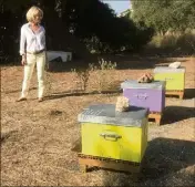  ?? (Photos J.-M.P.) ?? Les trois première ruches ont été posées au printemps.