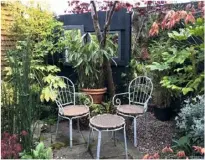  ??  ?? DESIGN TRICKS Mirrors reflect views and light (above); bold accessorie­s such as this pink chair (far left) will draw the eye, acting as a focal point; slender equisetum acts as a screen (left)