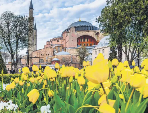  ??  ?? Tulips in Istanbul’s Sultanahme­t Square with a view of the Hagia Sophia Grand Mosque in the background.