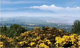  ?? Photograph: Christophe­r Briggs/Alamy Stock Photo ?? View from Castlecoe Hill looking north towards Dundalk. Ko said Ireland’s attraction­s included its low population density.