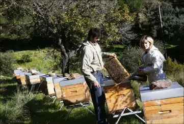  ?? (Photo Patrick Blanchard) ?? Tout au long de l’année, Laura Chuine gère le suivi de  ruches. Son compagnon, Rémi Boulet, en a .