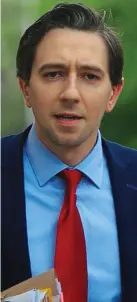  ??  ?? Scandal: Minister SImon Harris