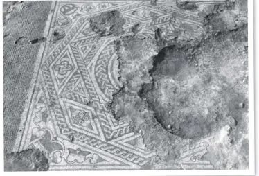  ?? ?? Chilgrove mosaic from Chilgrove I, in situ during archaeolog­ical excavation