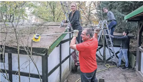  ??  ?? Die Hütte in der Arche Noah wird geschrubbt, neu getrichen und bekommt bis Samstag ein neues Dach. Mitarbeite­r der Spender-Unternehme­n helfen mit.