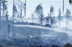  ?? FOTO: KRISTOFFER ÅBERG/HBL ARKIV
FOTO: CATA PORTIN ?? ■ Skogsbränd­erna väntas bli vanligare och kraftigare i Finland med klimatförä­ndringen. Här en markbrand i Forsby i Lovisa våren 2018.