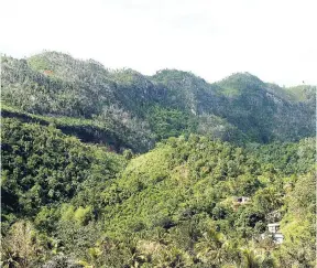  ??  ?? An expansive view of Jamaica’s biodiversi­ty-rich Cockpit Country, depicting its rugged terrain.