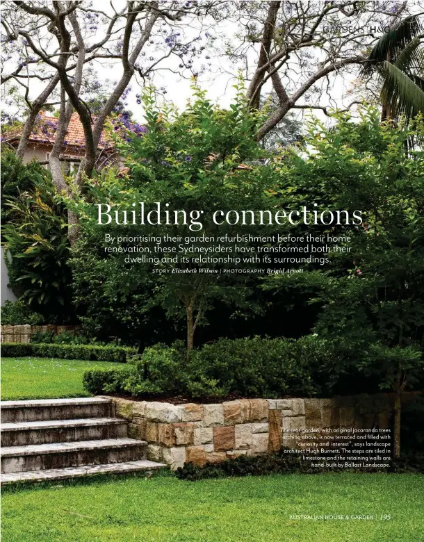  ??  ?? The rear garden, with original jacaranda trees arching above, is now terraced and filled with “curiosity and interest”, says landscape architect Hugh Burnett. The steps are tiled in limestone and the retaining walls are hand-built by Ballast Landscape.