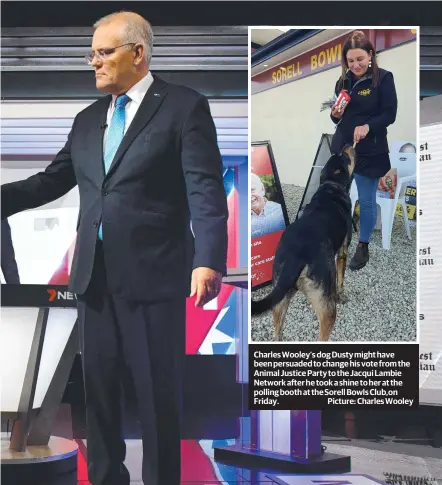  ?? ?? Charles Wooley’s dog Dusty might have been persuaded to change his vote from the Animal Justice Party to the Jacqui Lambie Network after he took a shine to her at the polling booth at the Sorell Bowls Club,on Friday. Picture: Charles Wooley