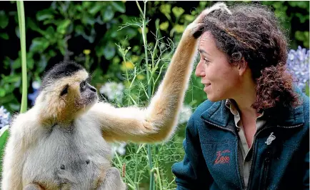  ??  ?? Wellington zoo keeper Jacqui Hooper with her favourite animal, Robyn the gibbon.