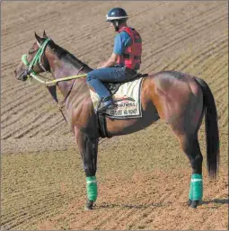  ?? BARBARA D. LIVINGSTON ?? Conquest Mo Money will make his first one-turn start in the Grade 2 Woody Stephens Stakes on Belmont Stakes Day.