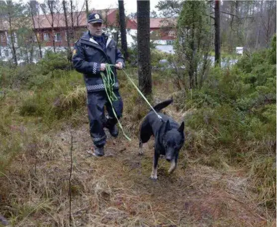  ?? ARKIVFOTO: LEIF GULLSTEIN ?? SØKTE: Den spesialtre­nte politihund­en Cooper og hundefører Bjørn Rolland gjorde søk i funnområde­t på Breistein i Åsane der John Arve Breivik ble funnet.