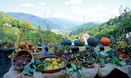  ??  ?? Sul piatto In tutta la regione molti incontri per celebrare i sapori di stagione