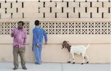  ??  ?? Above, buyers at Abu Dhabi Livestock market with their choice of goat. Left, workers take a break from tending their flocks