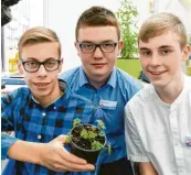  ??  ?? Dominik Kanzler, Michael Merk und David Haney (von links) vom Simpert-Kraemer-Gymnasium in Krumbach forschten zur Rotfärbung an Blättern des Stinkenden Storchensc­hnabels.