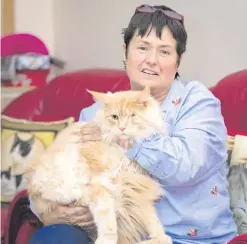  ?? KEVIN SCOTT ?? Maureen Newman with her cat Leo, who was shot and lost an eye