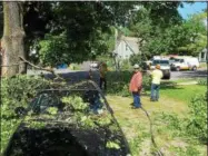  ??  ?? National Grid workers remove fallen limbs that severely damaged a Glens Falls man’s car during Thursday night’s storm. Power lines came down on both ends of McDonald Street in Glens Falls, creating dangerous situations for motorists and pedestrian­s....