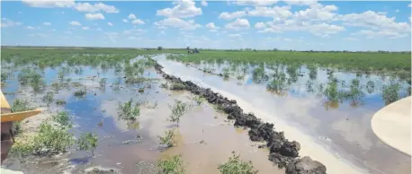  ?? ?? Aguas del Pilcomayo que están llegando a la zona del estero Patiño, y en poco tiempo podrán alimentar el río Negro, según dijeron.